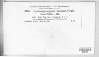 Gymnosporangium juniperi-virginianae image